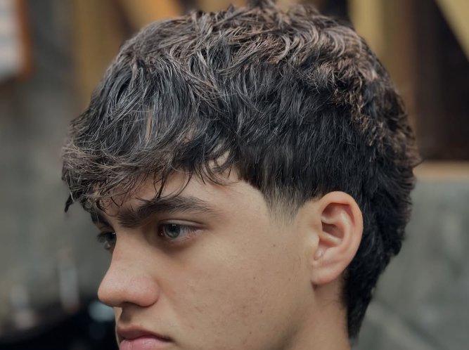 Mullet moderno